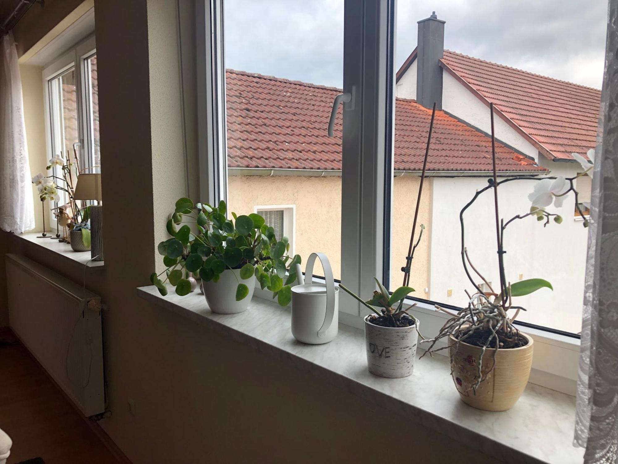 Ferienwohnung Am Gruenen Band Hellingen المظهر الخارجي الصورة